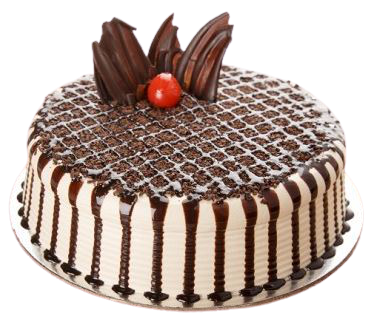 Tiramisu Regular 1kg
