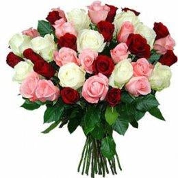 send online Red, White, Pink Roses Bunch  - Expressluv.in