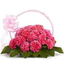 Pink Carnations Basket  - Expressluv.in