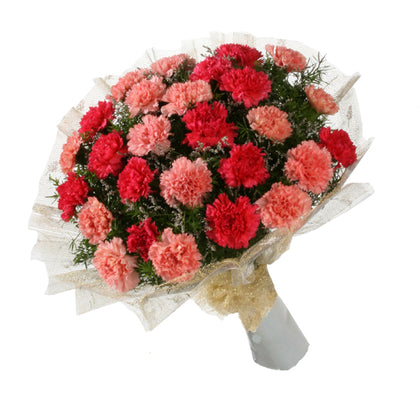 Red and Pink Carnations Mixed Bunch  - Expressluv.in