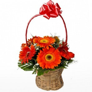 Orange Gerbera Flowers Basket  - Expressluv.in
