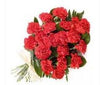 Red Flowers Bunch