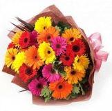 Colorful Gerberas, best design mix color flowers for girls