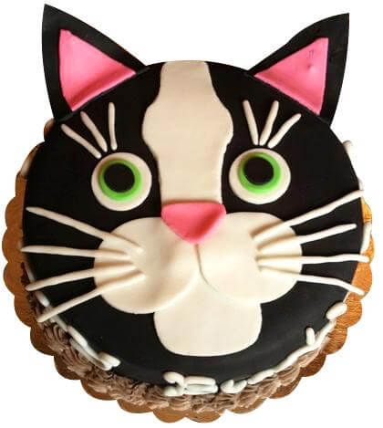 CAT Cake