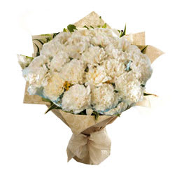 Carnations Bouquet white colored carnations bouquet flowers with beautiful design wrapping - Expressluv.in