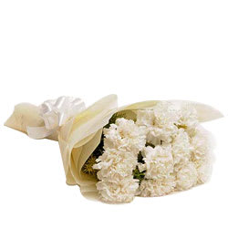 White Carnations  - Expressluv.in